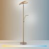 Paul Neuhaus Verlichting ARTUR Staande lamp LED Zandkleurig, 2-lichts
