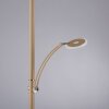 Paul Neuhaus Verlichting ARTUR Staande lamp LED Zandkleurig, 2-lichts