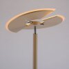 Paul Neuhaus Verlichting ARTUR Staande lamp LED Zandkleurig, 2-lichts