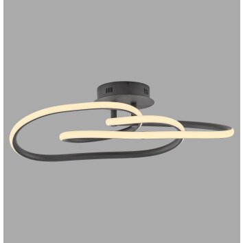 Paul Neuhaus Verlichting TWIST Plafondlamp LED Zwart, 1-licht