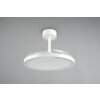 Reality mit Plafondventilator met verlichting LED Wit, 1-licht, Afstandsbediening
