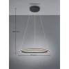 Trio verlichting Amador Hanglamp LED Zwart, 1-licht