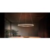 Trio verlichting Amador Hanglamp LED Bruin, 1-licht