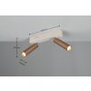 Trio verlichting Ambala Plafondspot LED Bruin, 2-lichts