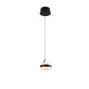 Trio verlichting Dios Hanglamp LED Zwart, 1-licht