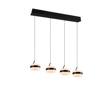 Trio verlichting Dios Hanglamp LED Zwart, 4-lichts