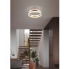 Trio verlichting Dios Plafondlamp LED Nikkel mat, 1-licht