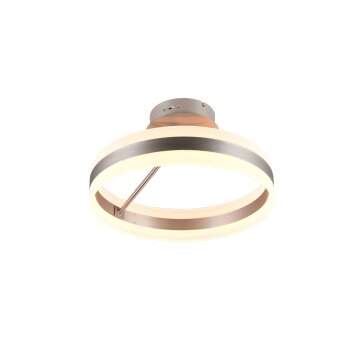 Trio verlichting Dios Plafondlamp LED Nikkel mat, 1-licht