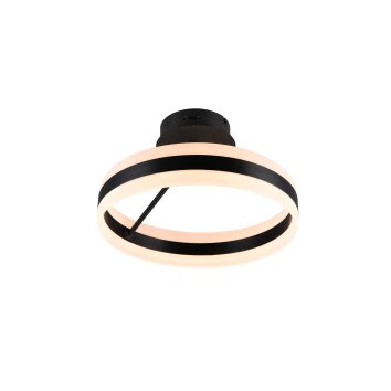 Trio verlichting Dios Plafondlamp LED Zwart, 1-licht