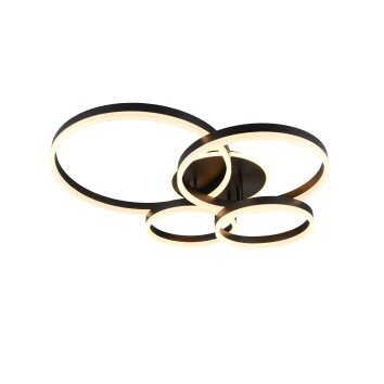 Trio verlichting Drake Plafondlamp LED Zwart, 1-licht, Afstandsbediening