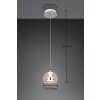 Trio verlichting Flynt Hanglamp LED Chroom, 1-licht