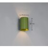 Trio verlichting Imaria Wandlamp Groen, 1-licht