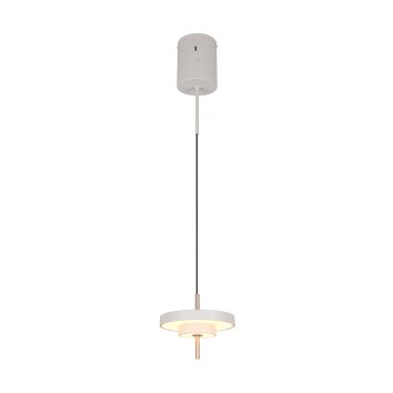 Trio verlichting KEATON Hanglamp LED Grijs, 1-licht