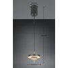 Trio verlichting KEATON Hanglamp LED Zwart-Goud, 1-licht