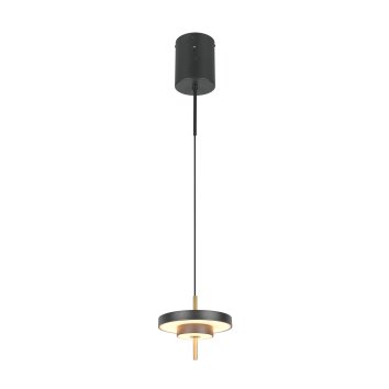 Trio verlichting KEATON Hanglamp LED Zwart-Goud, 1-licht