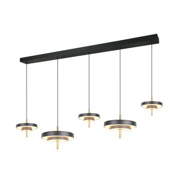 Trio verlichting KEATON Hanglamp LED Zwart-Goud, 1-licht