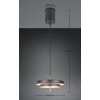 Trio verlichting KEATON Hanglamp LED Zwart-Goud, 1-licht