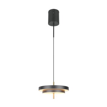 Trio verlichting KEATON Hanglamp LED Zwart-Goud, 1-licht