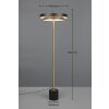 Trio verlichting KEATON Staande lamp LED Zwart-Goud, 1-licht