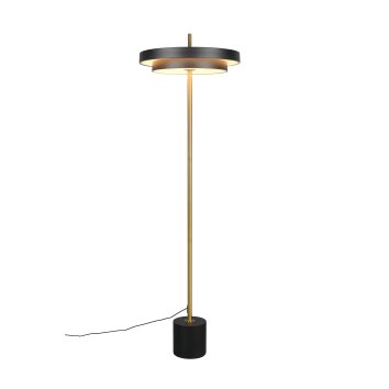 Trio verlichting KEATON Staande lamp LED Zwart-Goud, 1-licht