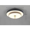 Trio verlichting KEATON Plafondlamp LED Zwart-Goud, 1-licht