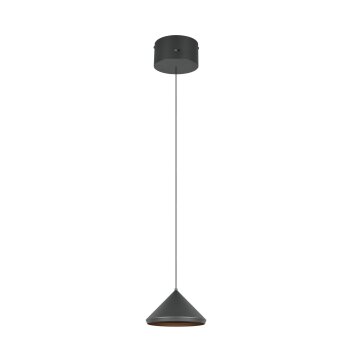 Trio verlichting Laguna Hanglamp LED Zwart, 1-licht
