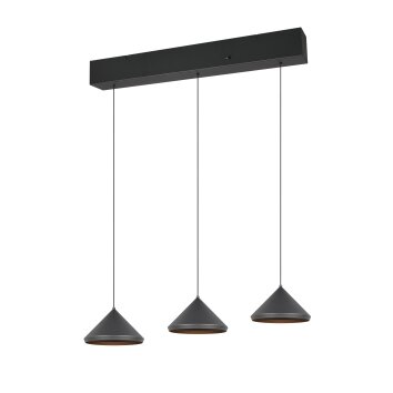 Trio verlichting Laguna Hanglamp LED Zwart, 3-lichts