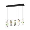 Trio verlichting Minerva Hanglamp LED Kleurrijk, 5-lichts