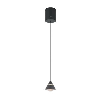 Trio verlichting Romeo Hanglamp LED Zwart, 1-licht