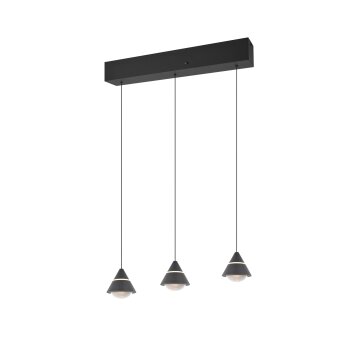 Trio verlichting Romeo Hanglamp LED Zwart, 3-lichts