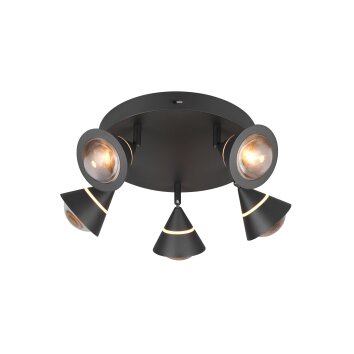 Trio verlichting Romeo Plafondlamp LED Zwart, 5-lichts