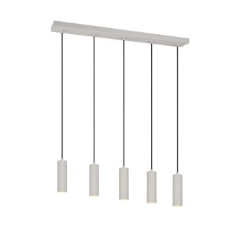 Trio verlichting Soka Hanglamp Grijs, 5-lichts