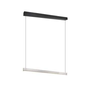 Trio verlichting Wallace Hanglamp LED Nikkel mat, 1-licht