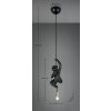 Reality Fips Hanglamp Zwart, 1-licht