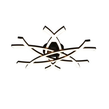 Reality Pollock Plafondlamp LED Zwart, 1-licht