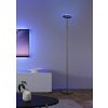 Reality Samba Staande lamp LED Zwart, 1-licht, Afstandsbediening, Kleurwisselaar