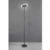 Reality Samba Staande lamp LED Zwart, 1-licht, Afstandsbediening, Kleurwisselaar