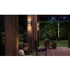 Philips verlichting Grass Wandlamp LED Antraciet, 1-licht