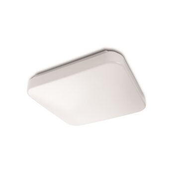 Philips verlichting Mauve Plafondlamp LED Wit, 1-licht