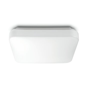 Philips verlichting Mauve Plafondlamp LED Wit, 1-licht