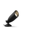 Philips verlichting Outdoor Tuin spotlight LED Zwart, 1-licht, Kleurwisselaar