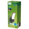Philips verlichting Splay Wandlamp voor buiten LED Antraciet, 1-licht