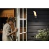 Philips verlichting Splay Wandlamp voor buiten LED Antraciet, 1-licht