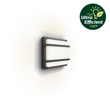 Philips verlichting Petronia Wandlamp voor buiten LED Antraciet, 1-licht