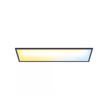 Philips verlichting WiZ Paneel LED Zwart, 1-licht