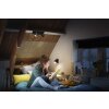 Philips verlichting Runner Plafondlamp Zwart, 1-licht