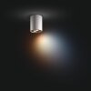 Philips verlichting Pillar Plafondlamp Wit, 1-licht