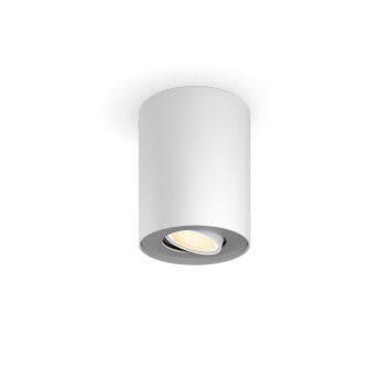 Philips verlichting Pillar Plafondlamp Wit, 1-licht