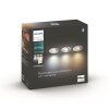Philips verlichting Adore Plafondlamp Zilver, 1-licht
