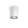Philips verlichting Pillar Plafondlamp Wit, 1-licht